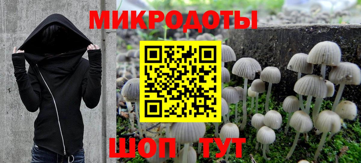 Кинель  Галлюциногенные грибы прущие грибы  сколько стоит  Вход с VPN 